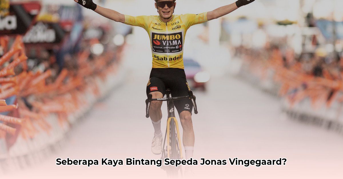 jonas vingegaard net worth